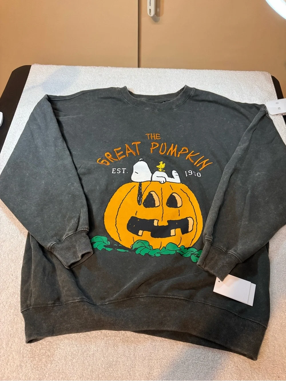 Vintage-Style Snoopy Peanuts The Great Pumpkin Crewneck Halloween Sweatshirt - Picture 3 of 9